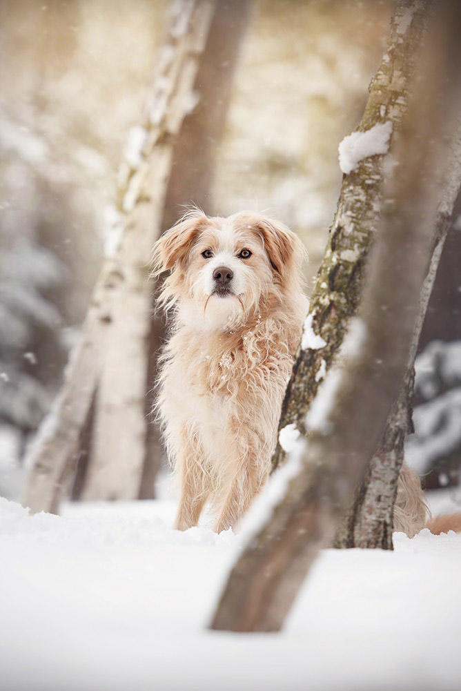 迪龙造梦西游3修改器